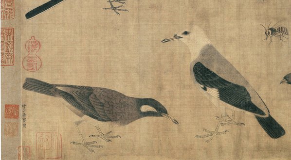 五代_黄筌_写生珍禽图绢本_10599.5843
