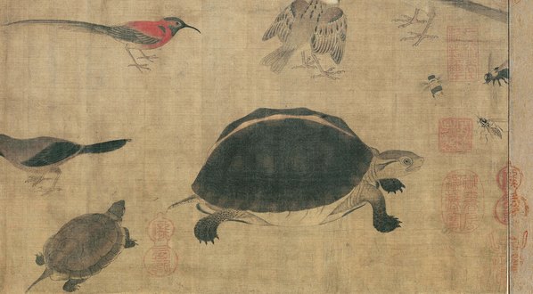 五代_黄筌_写生珍禽图绢本_10599.5843