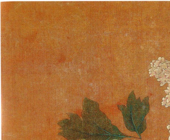 五代_后蜀_黄居寀_花卉写生图册_6_3011.2475 五代_后蜀_黄居寀_花卉写生图册_6_3011.2475
