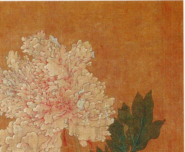 五代_后蜀_黄居寀_花卉写生图册_6_3011.2475 五代_后蜀_黄居寀_花卉写生图册_6_3011.2475