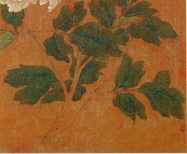 五代_后蜀_黄居寀_花卉写生图册_6_3011.2475 五代_后蜀_黄居寀_花卉写生图册_6_3011.2475