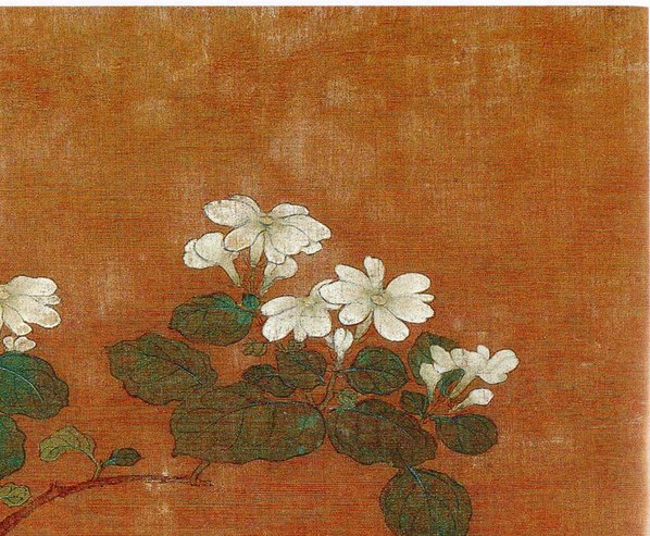 五代_后蜀_黄居寀_花卉写生图册_15_3011.2484 五代_后蜀_黄居寀_花卉写生图册_15_3011.2484