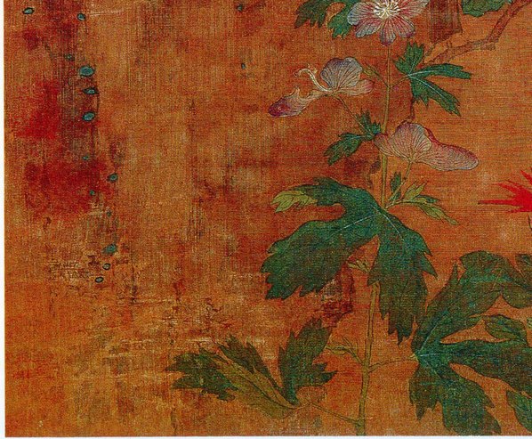 五代_后蜀_黄居寀_花卉写生图册_15_3011.2484 五代_后蜀_黄居寀_花卉写生图册_15_3011.2484