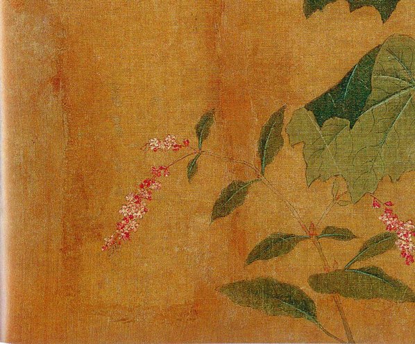 五代_后蜀_黄居寀_花卉写生图册_14_3011.2494 五代_后蜀_黄居寀_花卉写生图册_14_3011.2494