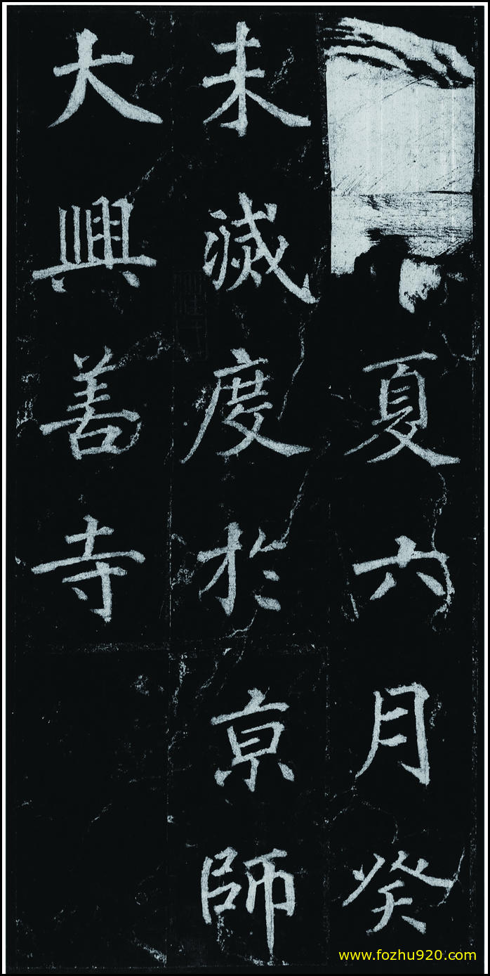 【书法拓片】隋唐_徐浩_不空和尚碑42_11（1907x3810）