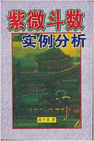 紫微斗数实例分析