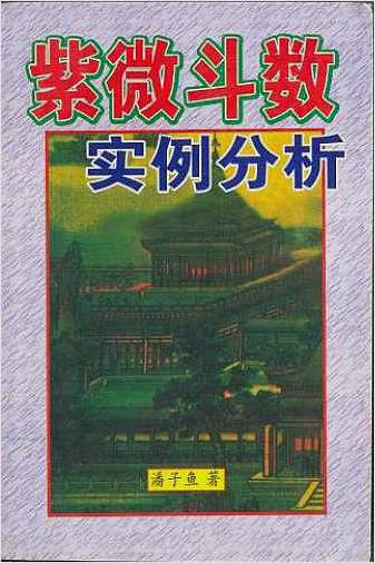 紫微斗数实例分析