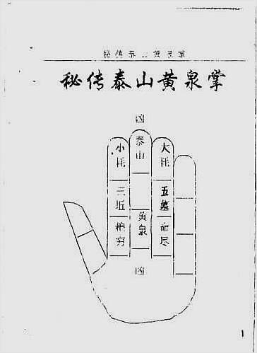 秘传泰山黄泉掌