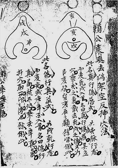 赖布衣-赖公乘真去伪架空反插穴法（古本）