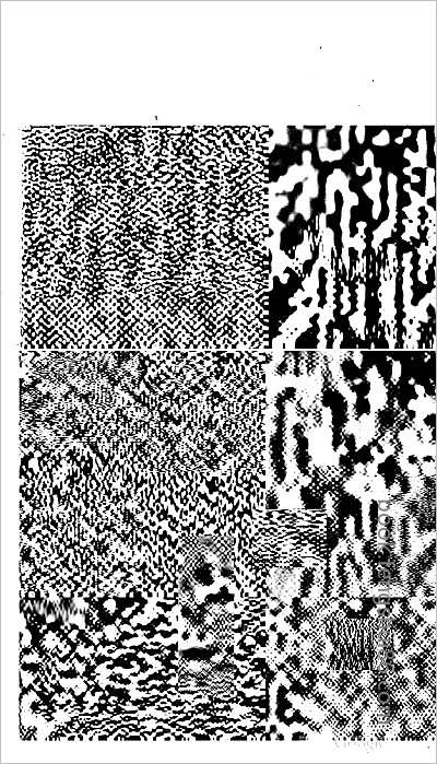 洋县志·1-3.县志